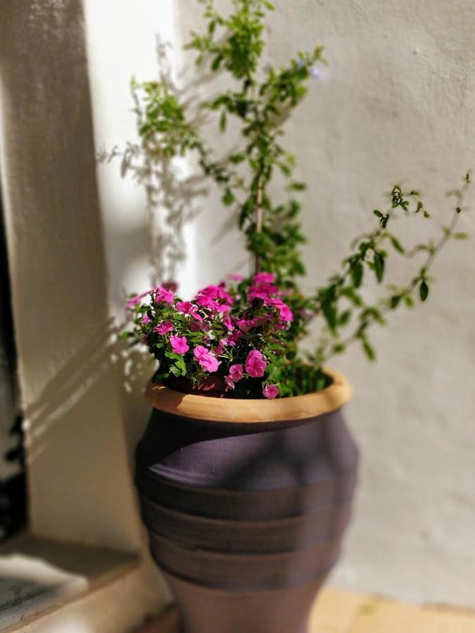 Old Port - Bellavista Studio ハニア エクステリア 写真